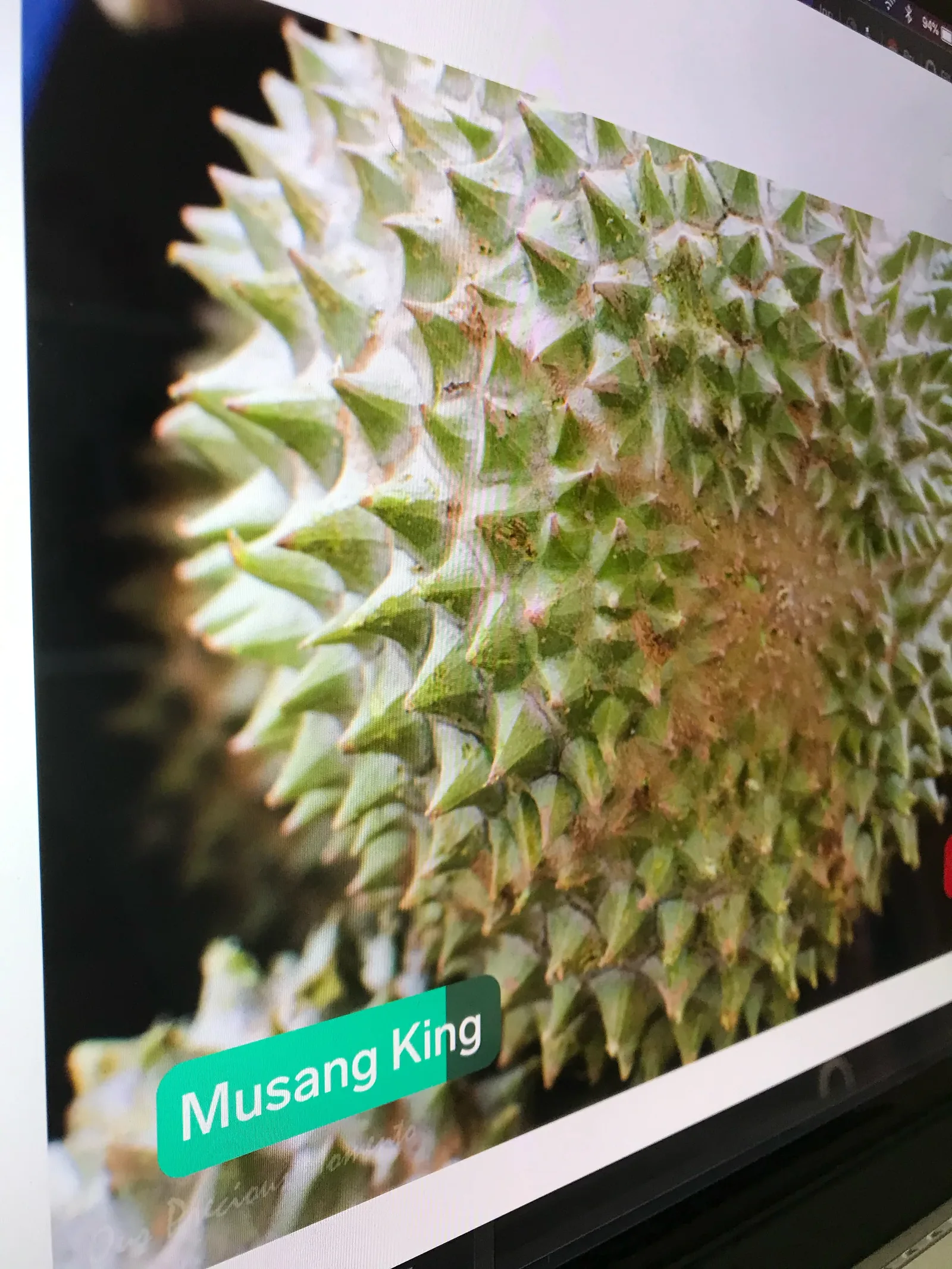Durian classifier